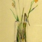 drawing of Croscosmia by Blanche Benton